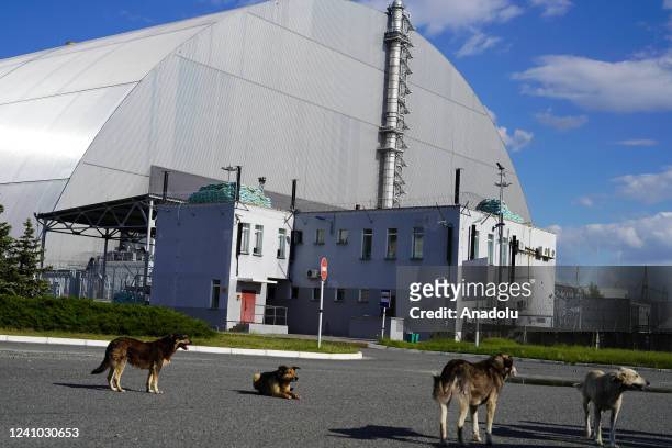 Photo shows New Safe Confinement of Reactor Number 4 at Chornobyl Nuclear Power Plant after Russian troop's withdrawal in Chernobyl city, Ukraine on...