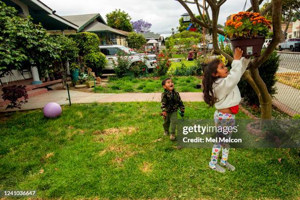 Erick Garcia and his sister Aryanna play on the front lawn of their home on Folsom St. In East Los Angeles. It's going to be a summer of brown grass...