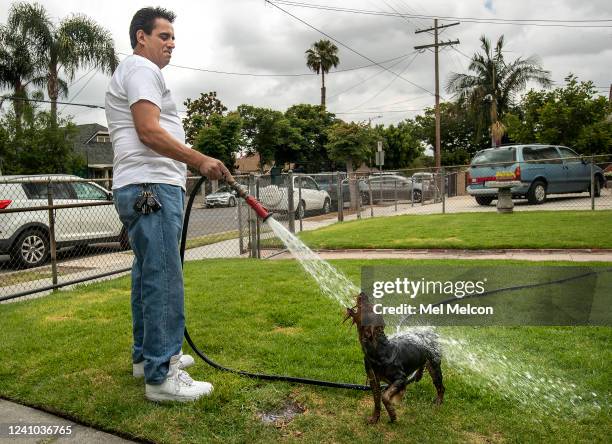 Paul Ramirez waters the front lawn at his home on St. Louis St. In Boyle Heights, as his dog Bandit, a 2 year old Yorkshire terrier, enjoys getting...