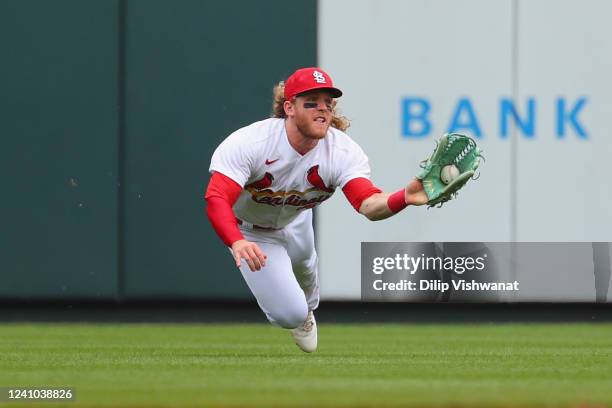 3,089 Harrison Bader Photos & High Res Pictures - Getty Images 3,089 Harrison Bader Photos & High Res Pictures - Getty Images