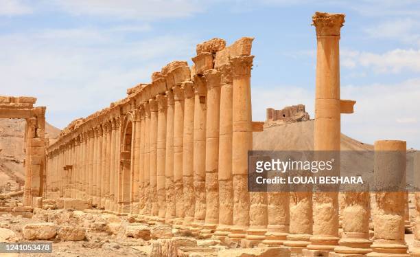 This picture taken on May 9, 2022 shows a view of the colonnade at the Camp of Diocletian in the ruins of Syria's Roman-era ancient city of Palmyra,...