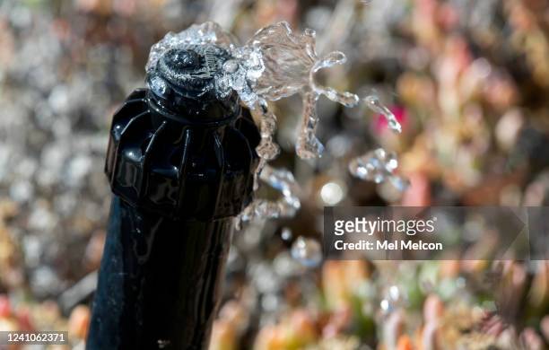 Photograph shows the amount of water coming out of a sprinkler after a water flow restrictor device was installed on a water meter during a...