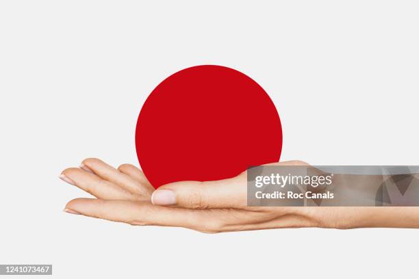 japanese flag - person holding up sign bildbanksfoton och bilder