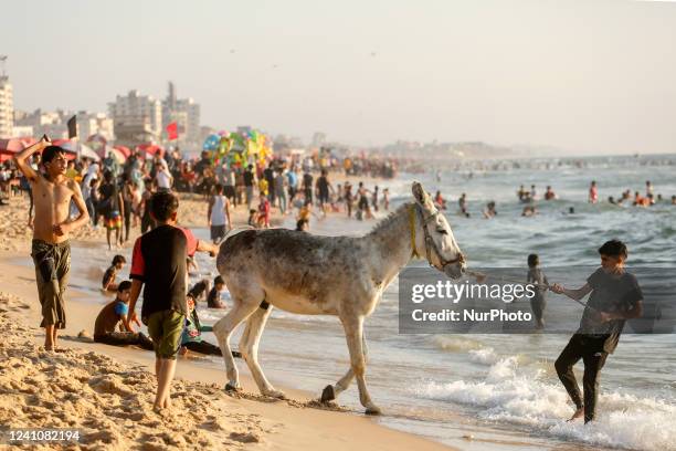 Palestinian boy with his donkey in front of Gaza beach during sunset, Friday, on June 03, 2022.