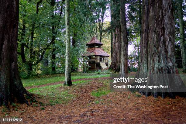 One of the treehouses built for the new adventure playground appears between the trees at Dumfries House, on Oct. 28, 2021.