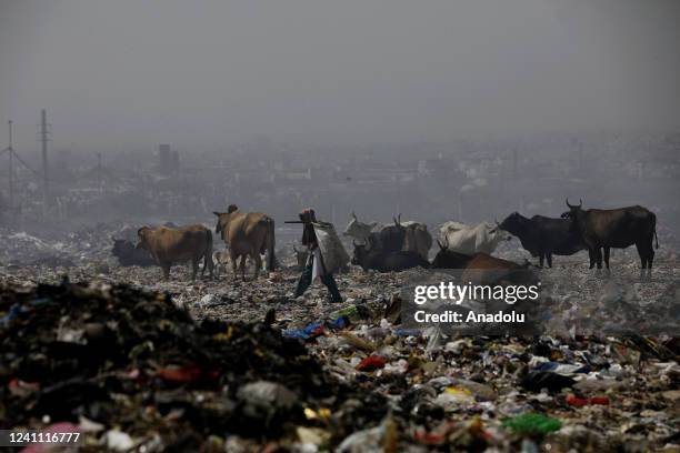 Rag picker looks for recyclable items at a garbage mound at Bhalswa landfill on the outskirts of New Delhi, India on June 5, 2022. World Environment...