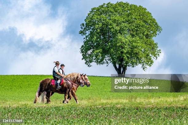 June 2022, Bavaria, Bad Kötzting: Participants of the Kötztinger Pfingstritt ride with their horses on a road. The procession is one of the oldest...