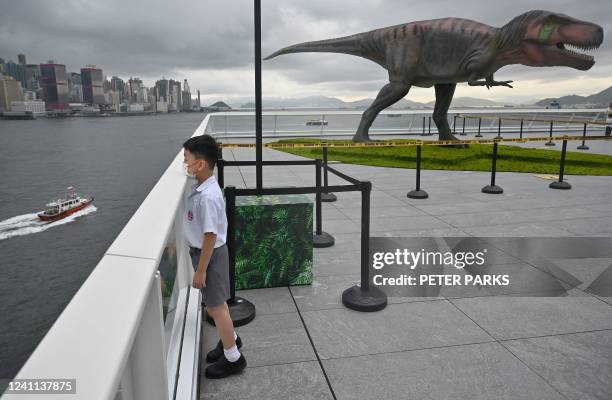 Young boy looks out to Victoria Harbour as a 1:1 scale robotic tyrannosaurus rex dinosaur is displayed in the background in Hong Kong on June 6 as...