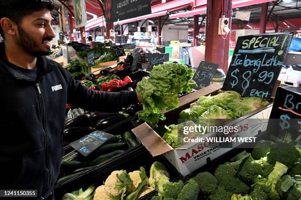 Syed Hyder from a stall at Melbourne's Queen Victoria Market adjusts a display of iceberg lettuce on June 7 with the local price soaring by as much...