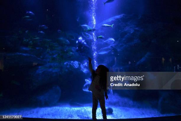 Child looks at a giant aquarium in which different species of fish evolve, in Tokyo, Japan, on June 8 as the world celebrates World Oceans Day....