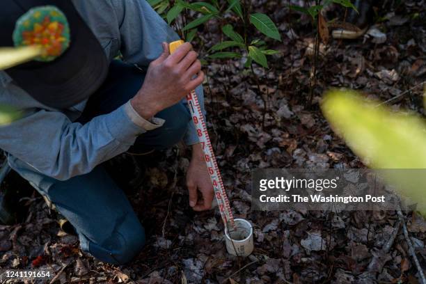 March 15 : Eric Soderholm, a wetland restoration specialist for The Nature Conservancy checks a monitoring gauge in the Great Dismal Swamp National...