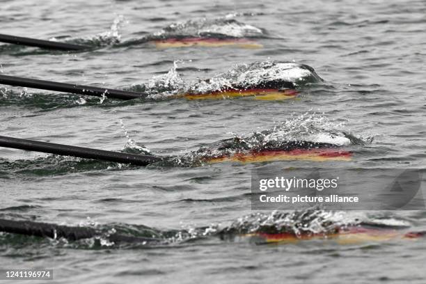 June 2022, North Rhine-Westphalia, Dortmund: The oars of the German Eight are pulled through the water by the crew on the Dortmund-Ems Canal. The...