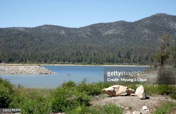Controversial US Forest Service plan calls for removing tens of thousands of trees from 13,000 acres on the north side of Big Bear Valley to reduce...