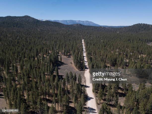 Controversial US Forest Service plan calls for removing tens of thousands of trees from 13,000 acres on the north side of Big Bear Valley, such as...