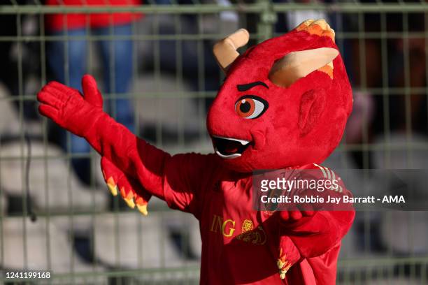 10,165 Belgian Red Devils Photos and Premium High Res Pictures - Getty  Images