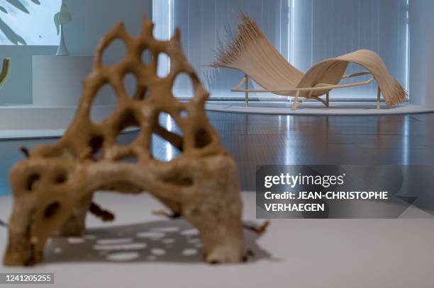 235 Dros Stock Photos, High-Res Pictures, and Images - Getty Images