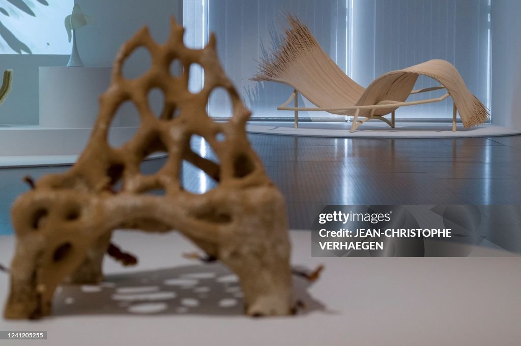 A photograph taken on June 9, 2022 shows « Mycelium chair » by Dutch ...