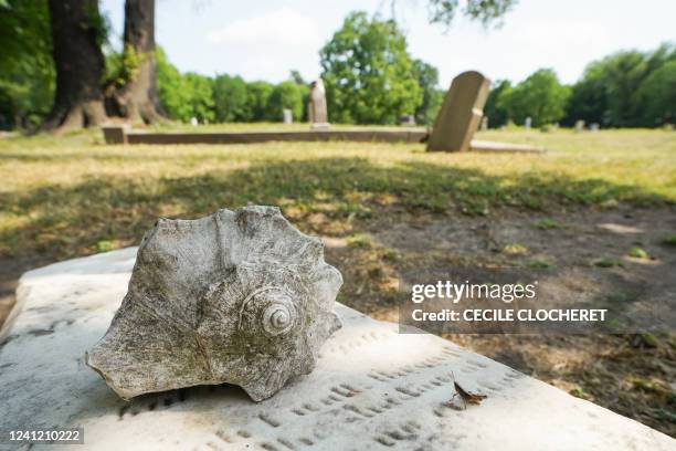 Shell Gravestone Burial Site Photos and Premium High Res Pictures - Getty Images