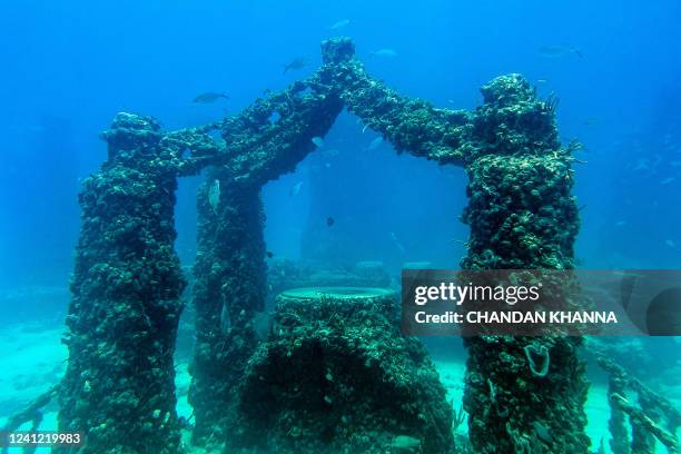 Fish swim through the man-made Neptune Memorial Reef, 3.25 miles off the coast of Key Biscayne, Florida, on May 14, 2022. The memorial, which opened...