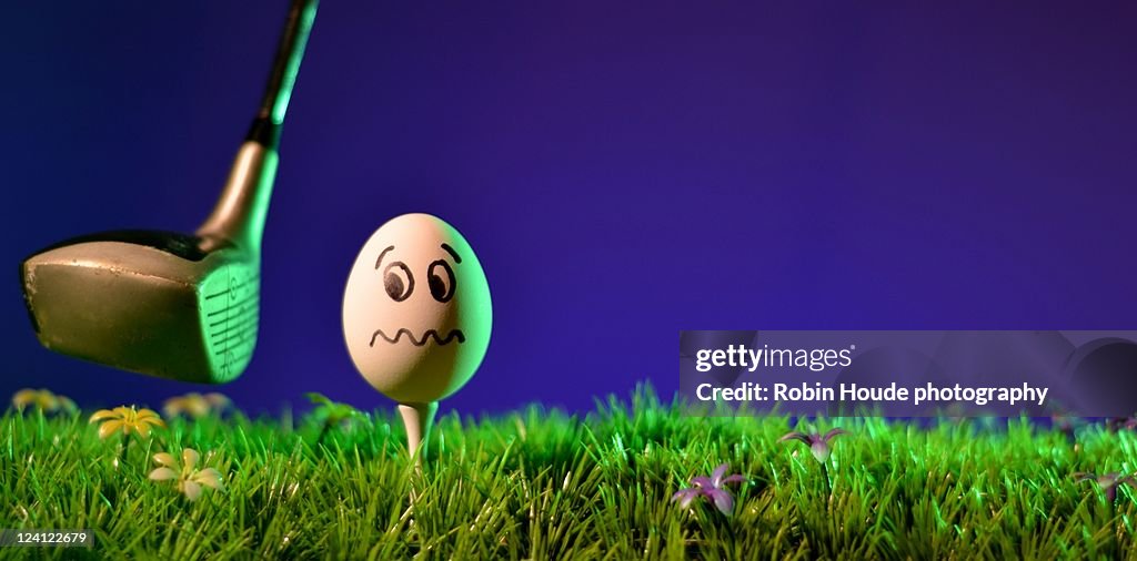 Egg golf ball
