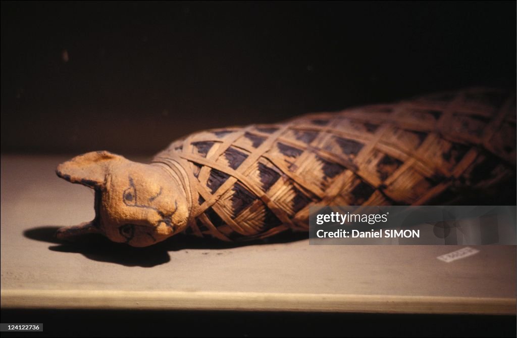 The Sacred Animals Of Ancient Egypt On February 26, 1992.