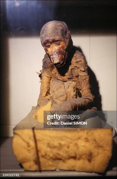 The sacred animals of ancient Egypt in Cairo, Egypt on February 26, 1992 - Baboon mummy .