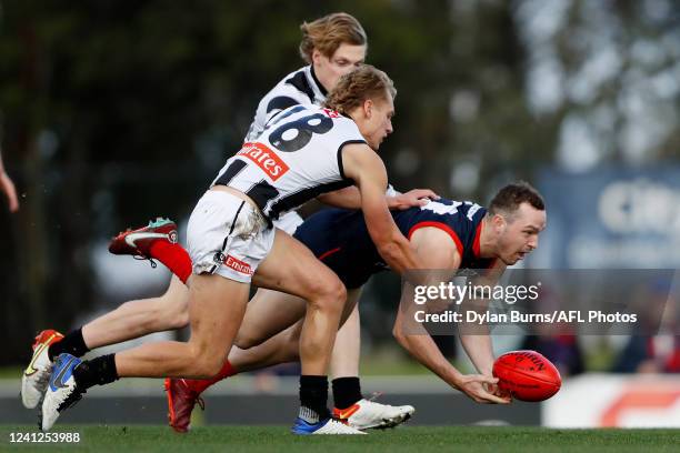 Finlay Riley 29 Riley Macrae Stock Photos, High-Res Pictures, and Images - Getty Images