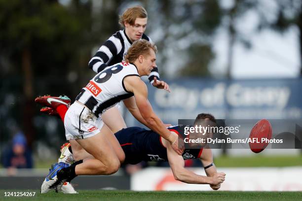 Finlay Rilay 29 Riley Macrae Stock Photos, High-Res Pictures, and Images - Getty Images