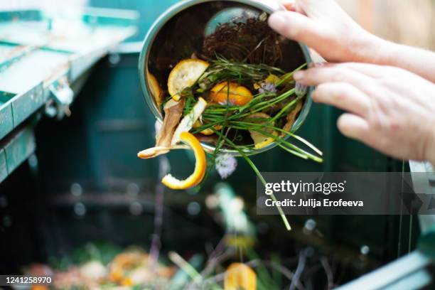 composting & plant care - waste stock pictures, royalty-free photos & images