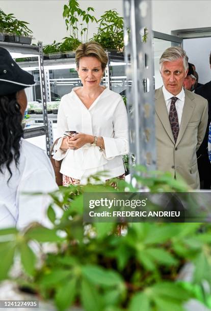 Queen Mathilde of Belgium and King Philippe - Filip of Belgium pictured during a visit to the Institut International d¿Agriculture Tropicale, IITA,...