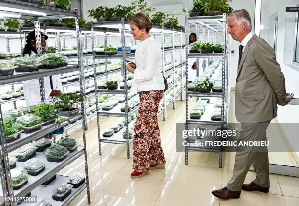 Queen Mathilde of Belgium and King Philippe - Filip of Belgium pictured during a visit to the Institut International d¿Agriculture Tropicale, IITA,...