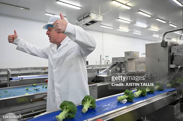 Britain's Prime Minister Boris Johnson helps to select broccoli for packing during a visit to Southern England Farms Ltd in Hayle in south-west...