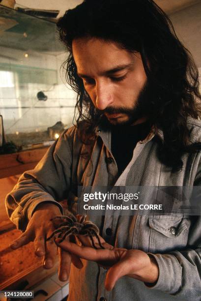 The Sofia zoo In Sofia, Bulgaria In February, 1998 - Veterinarian with trap-door spider.