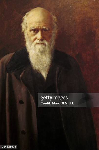 Sarah Darwin at Down house, the house of Charles Darwin In United Kingdom On October 13, 1998 - Portrait of british naturalist charles darwin by John...