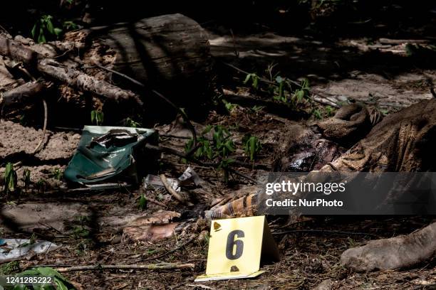 Ukrainian murdered by Russian army lie on a ground after being excavated in a forest near Bucha, Ukraine The bodies were discovered by a patrol of...