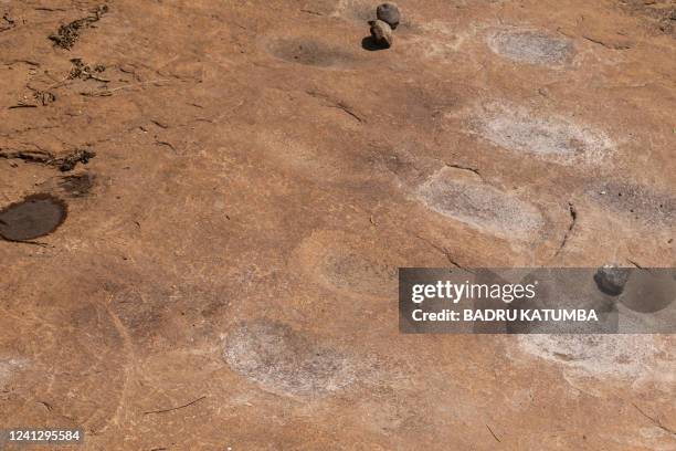 Marks of grinding sorghum are seen on a bare rock in Lomusian, Karamoja region, Uganda, on May 26, 2022. - More than half a million people are going...