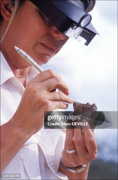 Dr Senut Photos and Premium High Res Pictures Getty Images