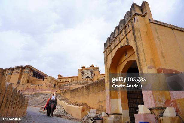 Indian Mahout rides a painted elephant in the historical Amer Fort in Jaipur, Rajasthan, India, on June 14, 2022.