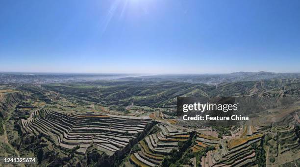 An aerial view of the terraced wheat fields on the loess plateau in Pingliang in northwest China's Gansu province Wednesday, June 15, 2022.