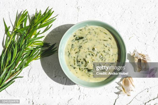 tarragon sauce - dragon bildbanksfoton och bilder