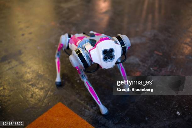 Probot Oy robotic dog on display at the Viva Technology Conference in Paris, France, on Wednesday, June 15, 2022. The conference, also known as...