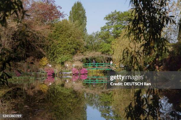 The water lily pond in the water garden, with the Japanese bridge that Claude Monet had built in 1893, is photographed for Paris Match on April 22,...