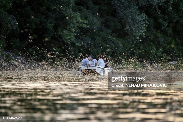 Tourists ride a boat among mayfly on the Tisa river near the town of Kanjiza in Serbia, on June 16, 2022. Large numbers of Palingenia longicauda...