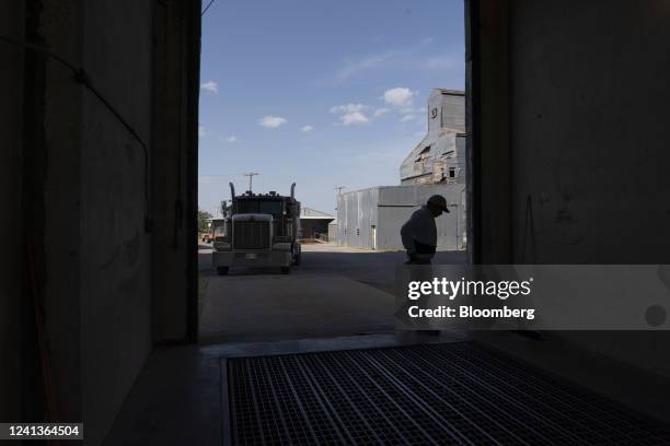 Truck full of harvested winter wheat pulls into a grain elevator in Bessie, Oklahoma, US, on Wednesday, June 15, 2022. Grain prices are mixed in...
