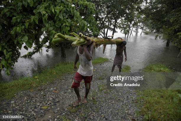 Fruit Tree Raft 34 Banana Tree Raft Stock Photos, High-Res Pictures, and Images - Getty ...