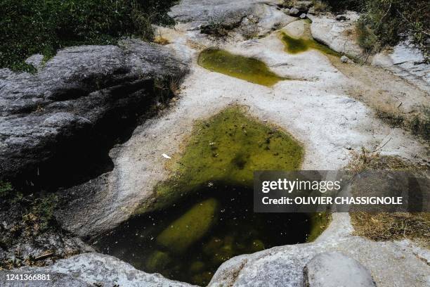 Picture taken on 17 June, 2022 shows a view of the Salindres river, which is totally dried, as a heatwave broke a string of records in France. - The...