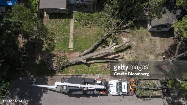 Worker clean up fallen trees following a tornado in Manhattan, Kansas, US, on Friday, June 17, 2022. Cool and stormy weather at the corners of the US...