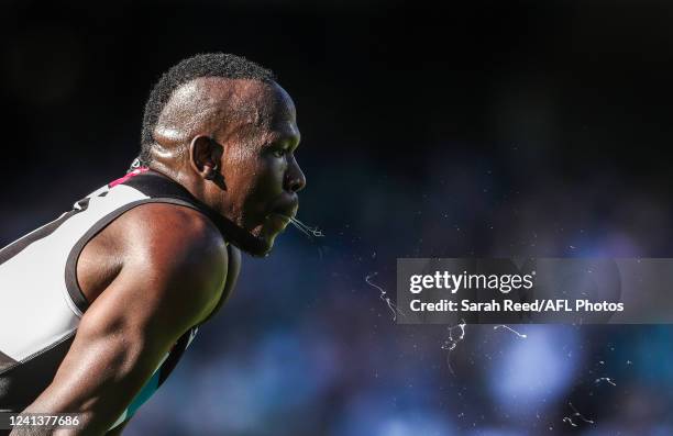 Aliir Aliir of the Power during the 2022 AFL Round 14 match between the Port Adelaide Power and the Sydney Swans at the Adelaide Oval on June 18,...