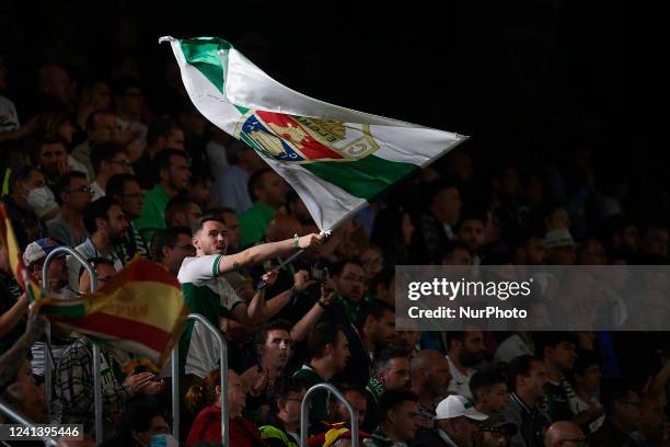 An Elche supporter wives his flag during the La Liga Santader match between Elche CF and Club Atletico de Madrid at Estadio Manuel Martinez Valero on...