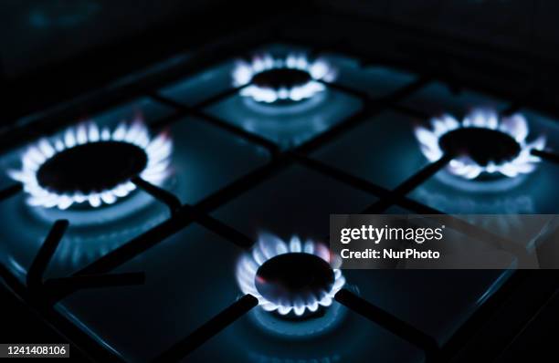 Natural gas burners on a natural-gas-burning stove. On Friday, June 17 in Rzeszow, Podkarpackie Voivodeship, Poland.